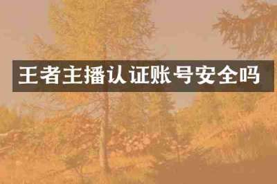王者主播认证账号安全吗