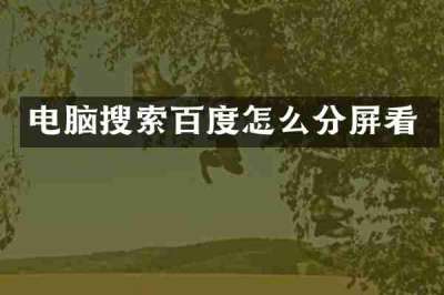 电脑搜索百度怎么分屏看