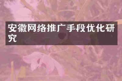安徽网络推广手段优化研究