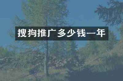 搜狗推广多少钱一年