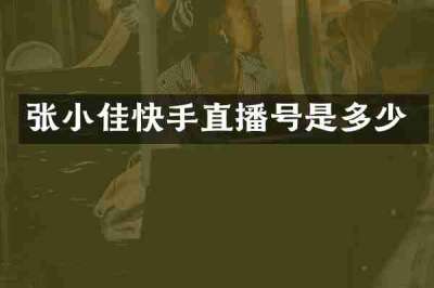 张小佳快手直播号是多少