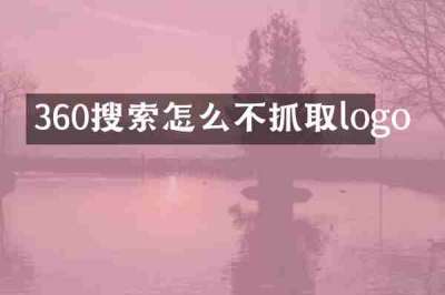 360搜索怎么不抓取logo