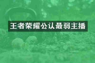 王者荣耀公认最弱主播