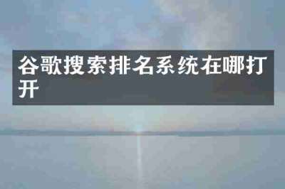 谷歌搜索排名系统在哪打开