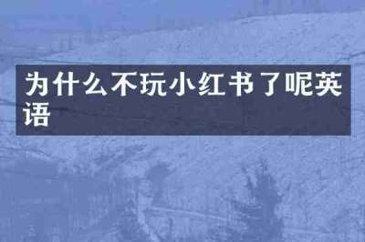 为什么不玩小红书了呢英语
