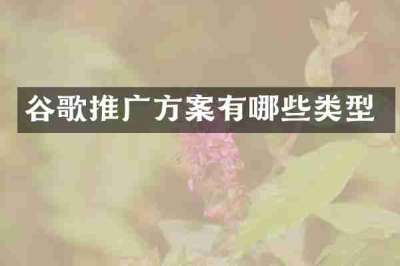 谷歌推广方案有哪些类型