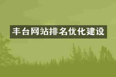 丰台网站排名优化建设