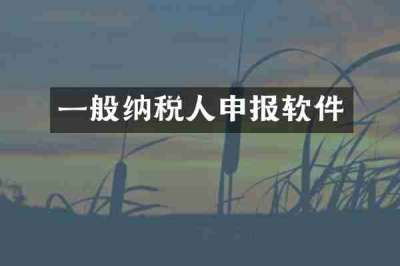 一般纳税人申报软件