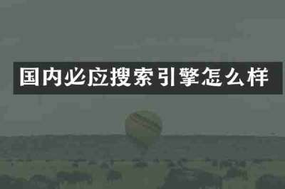 国内必应搜索引擎怎么样