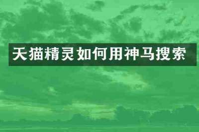 天猫精灵如何用神马搜索