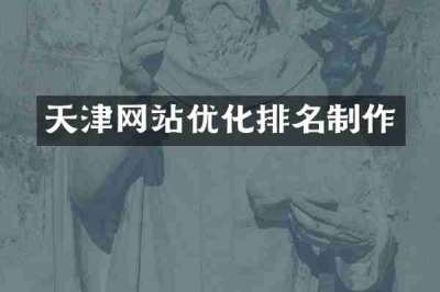 天津网站优化排名制作