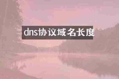 dns协议域名长度