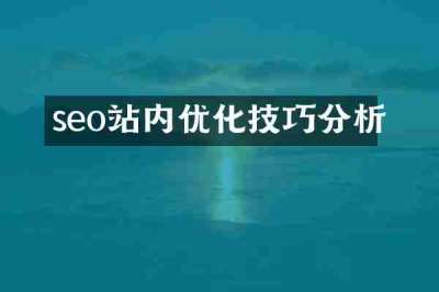 seo站内优化技巧分析