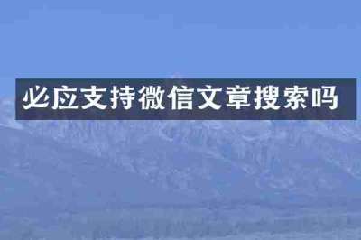 必应支持微信文章搜索吗