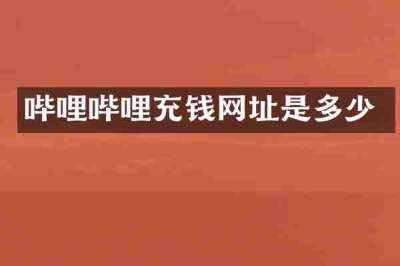 哔哩哔哩充钱网址是多少