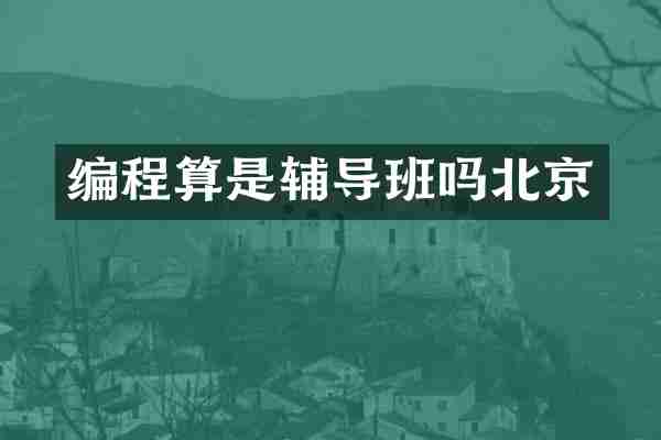 编程算是辅导班吗北京