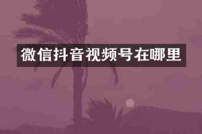微信抖音视频号在哪里