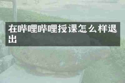 在哔哩哔哩授课怎么样退出