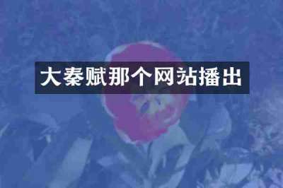 大秦赋那个网站播出