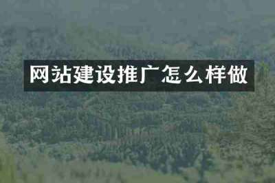 网站建设推广怎么样做