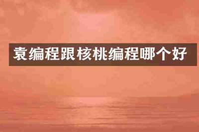 袁编程跟核桃编程哪个好