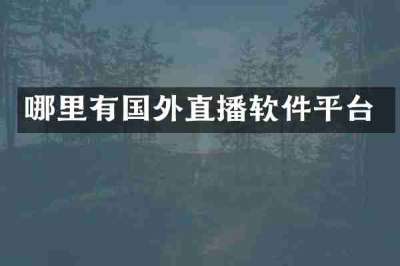 哪里有国外直播软件平台