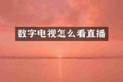 数字电视怎么看直播