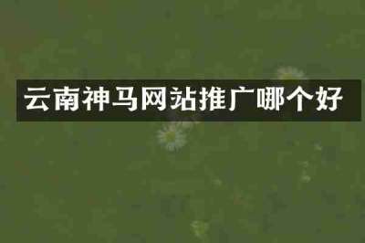 云南神马网站推广哪个好