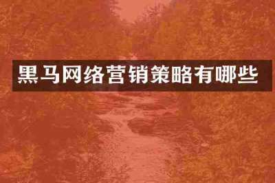黑马网络营销策略有哪些