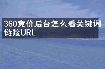 360竞价后台怎么看关键词链接URL