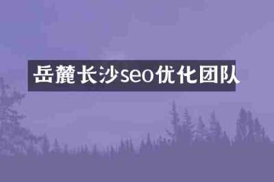 岳麓长沙seo优化团队