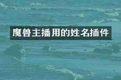魔兽主播用的姓名插件