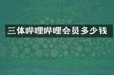 三体哔哩哔哩会员多少钱
