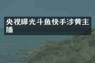央视曝光斗鱼快手涉黄主播