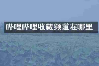 哔哩哔哩收藏频道在哪里