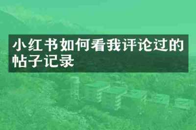 小红书如何看我评论过的帖子记录