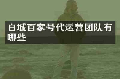 白城百家号代运营团队有哪些