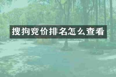 搜狗竞价排名怎么查看