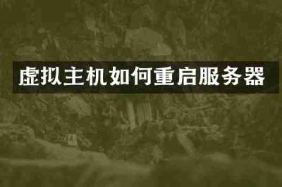 虚拟主机如何重启服务器