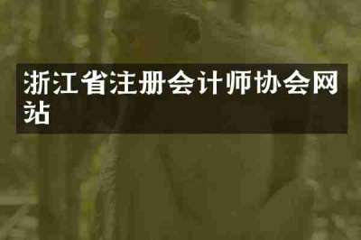 浙江省注册会计师协会网站