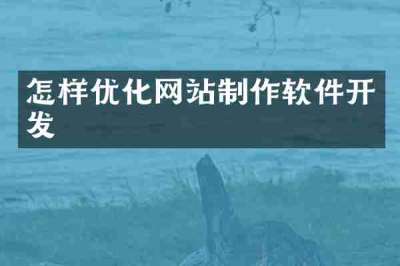 怎样优化网站制作软件开发