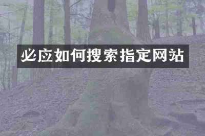 必应如何搜索指定网站