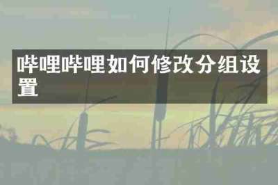 哔哩哔哩如何修改分组设置