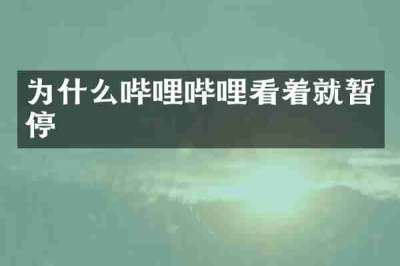 为什么哔哩哔哩看着就暂停