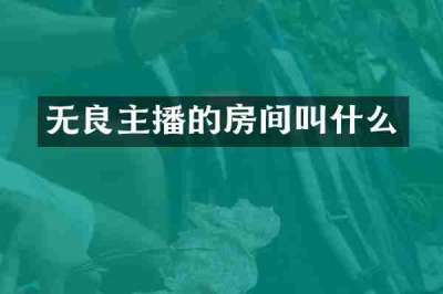 无良主播的房间叫什么