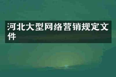 河北大型网络营销规定文件