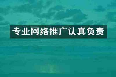 专业网络推广认真负责