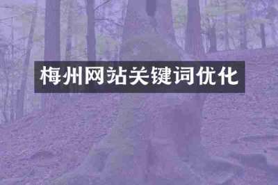 梅州网站关键词优化