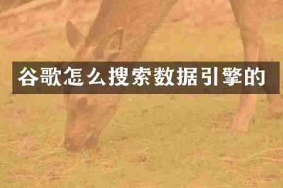 谷歌怎么搜索数据引擎的
