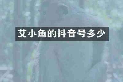 艾小鱼的抖音号多少